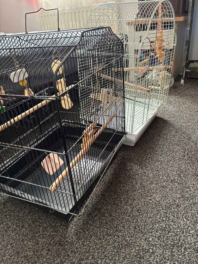 Bird cages