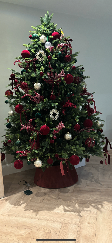 Belvoir Fir Christmas Tree - As Good As New