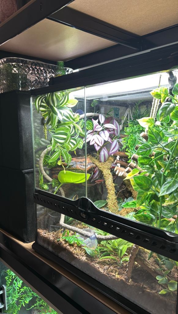 Exo Terra Enclosure 