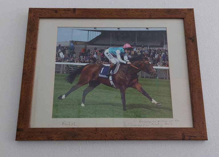 Frankel racehorse picture