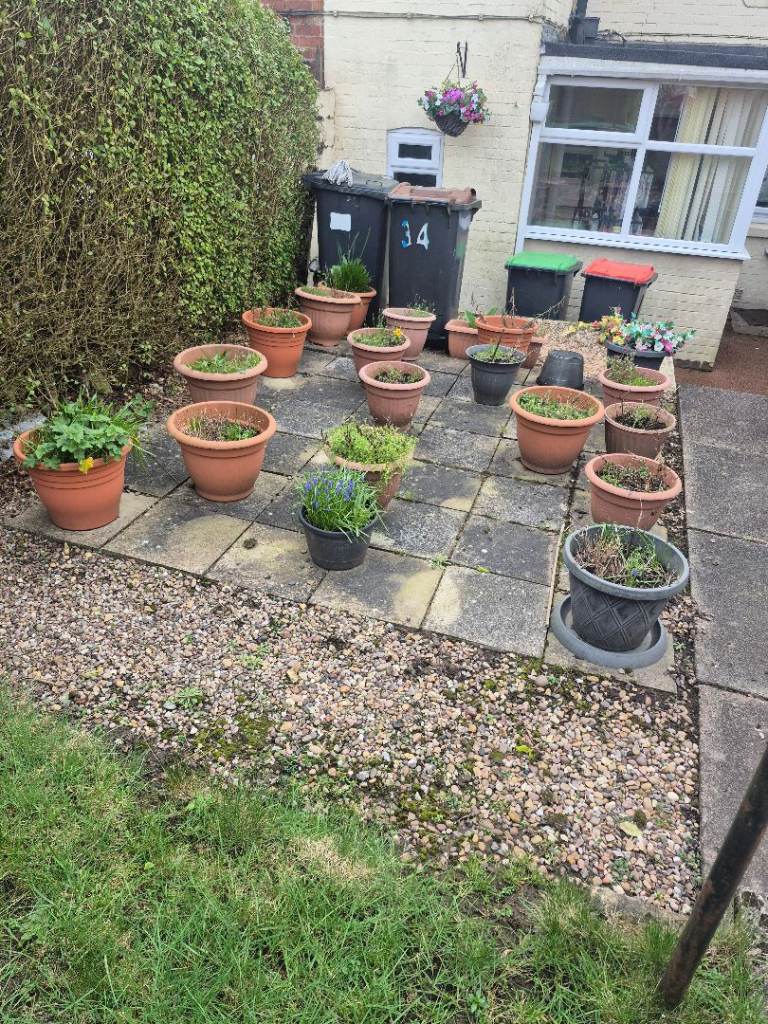 Flower pots