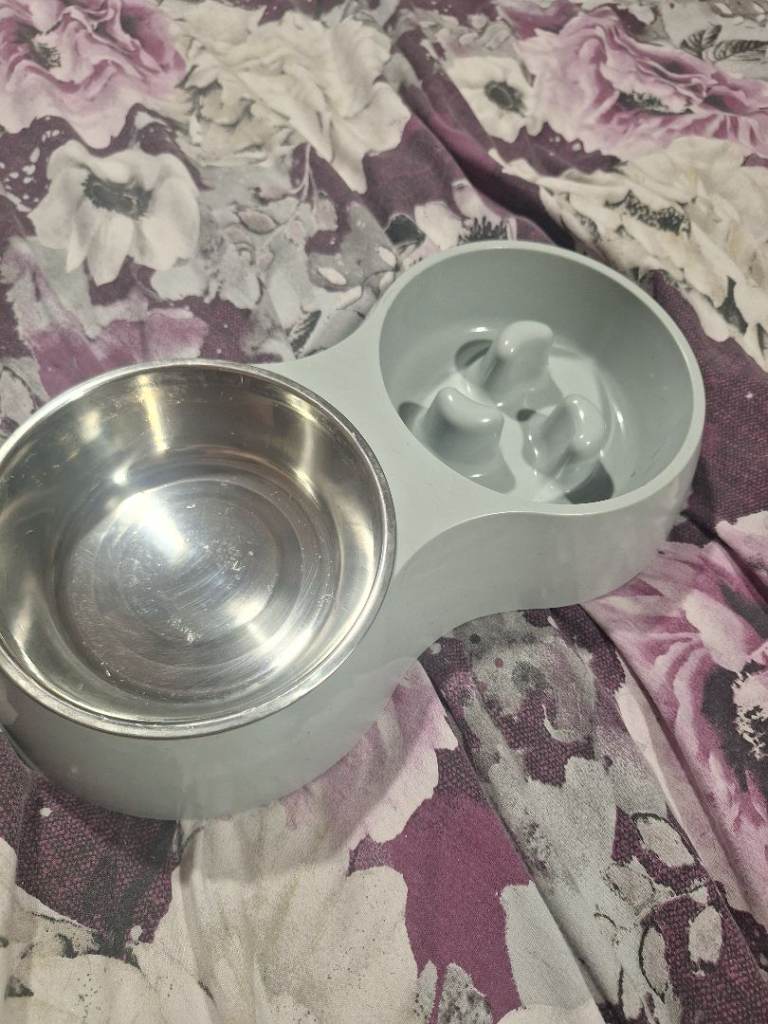 Dog bowl