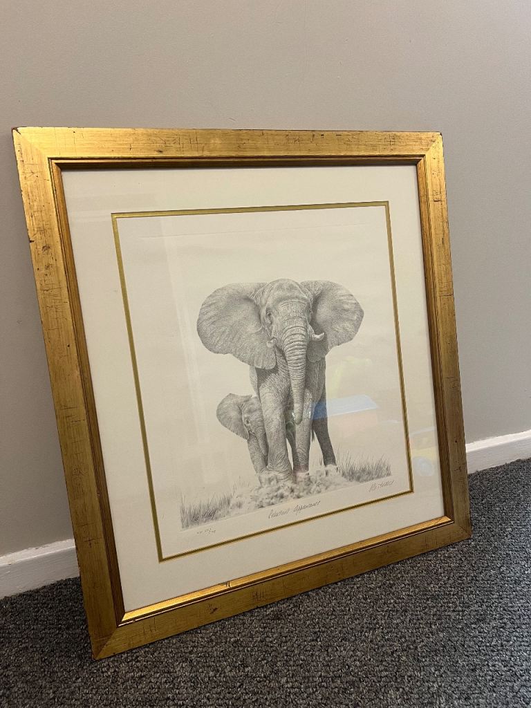 Peter hildick elephants 