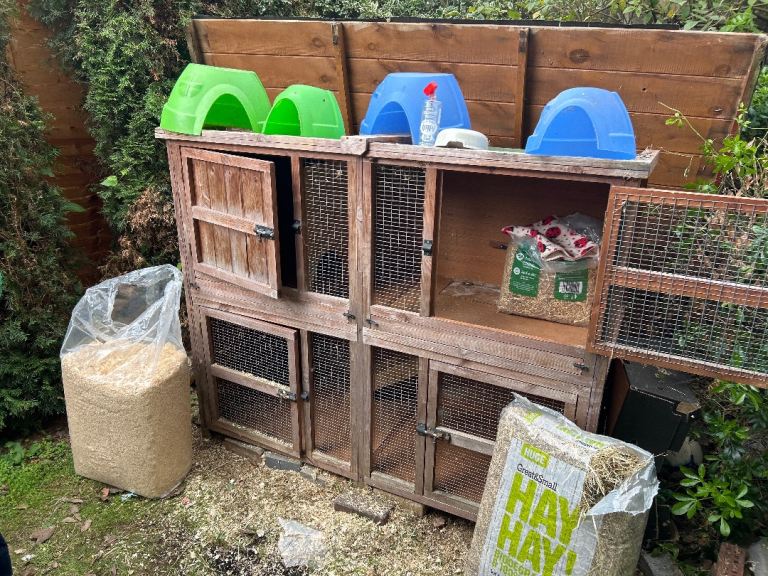 Rabbit/Guinea pig hutch 