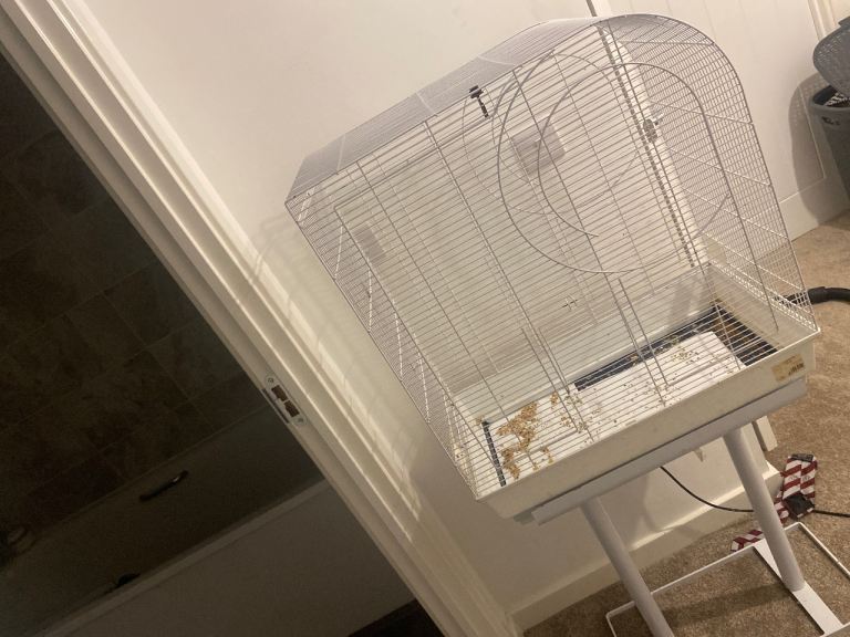 image for Bird cage for budgies,ring necks ect.