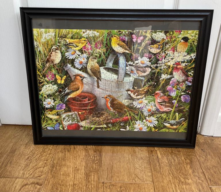 *** BEAUTIFUL BIRD PICTURE AND FRAME***
