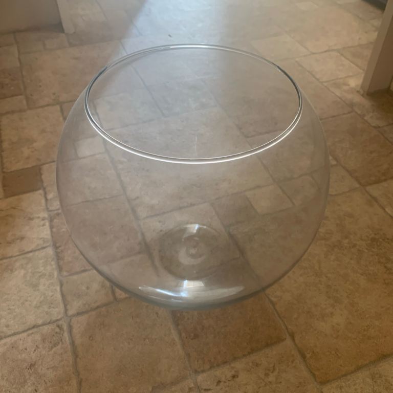 Glass fish tank vase light herbarium
