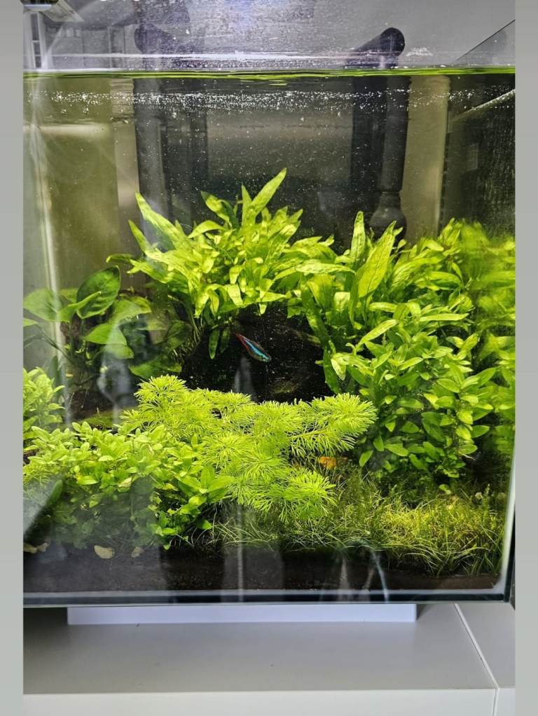 Aquarium for sale