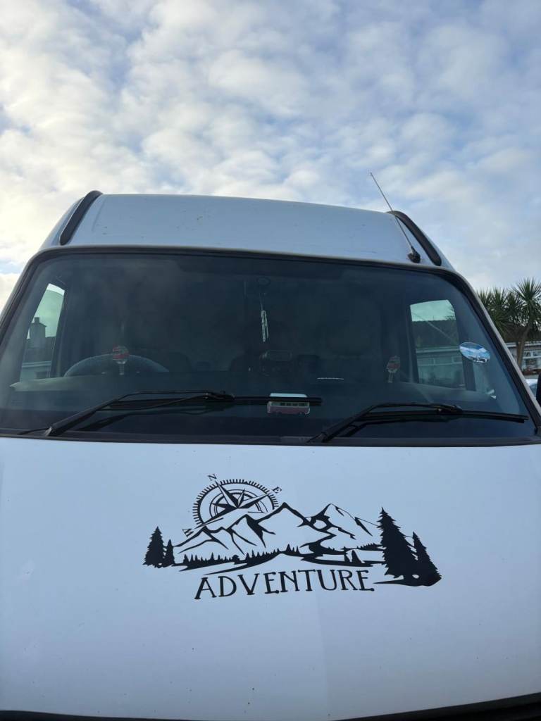 Renault, MASTER, Panel Van, 2008, Manual, 2464 (cc)