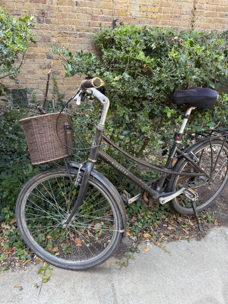 Kingston bike for sale