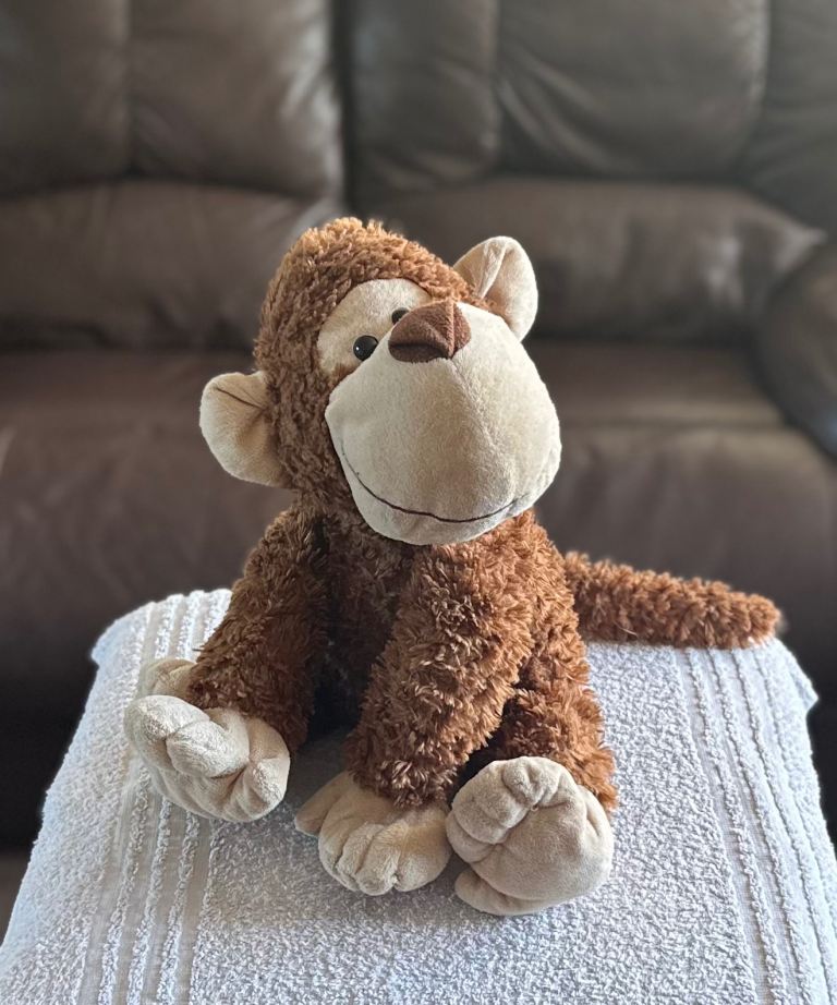 Soft Monkey Plush Toy – Clean, Well Kept & Ready - Brown/Beige
