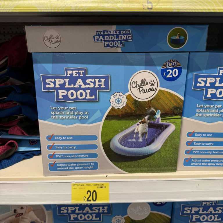 Pet Splash Pool 