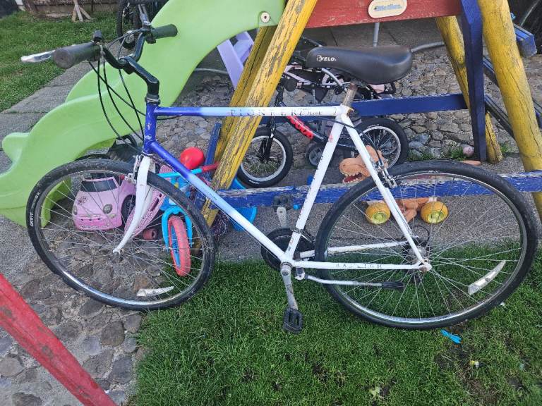 Raleigh pioneer hybrid mountain bike