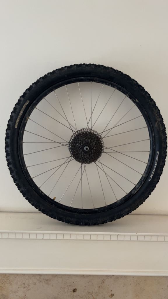 26 Inch bike wheel