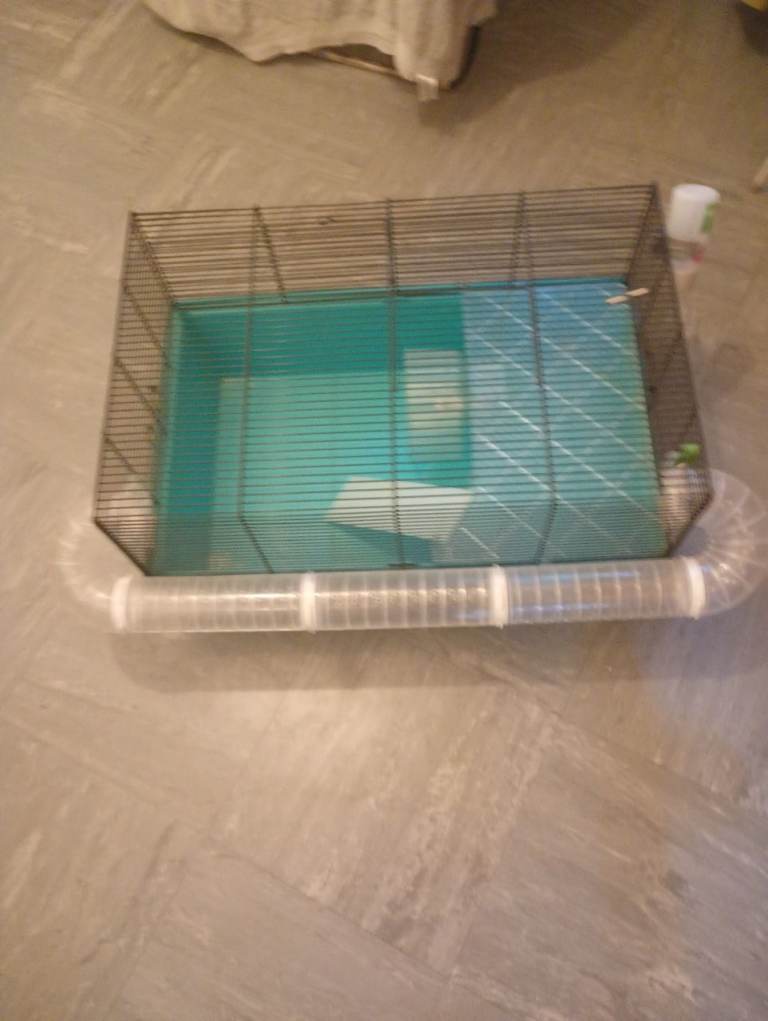 Hamster cage 