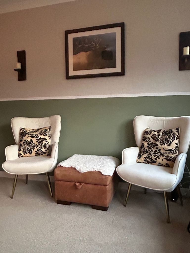 Two brand new chairs