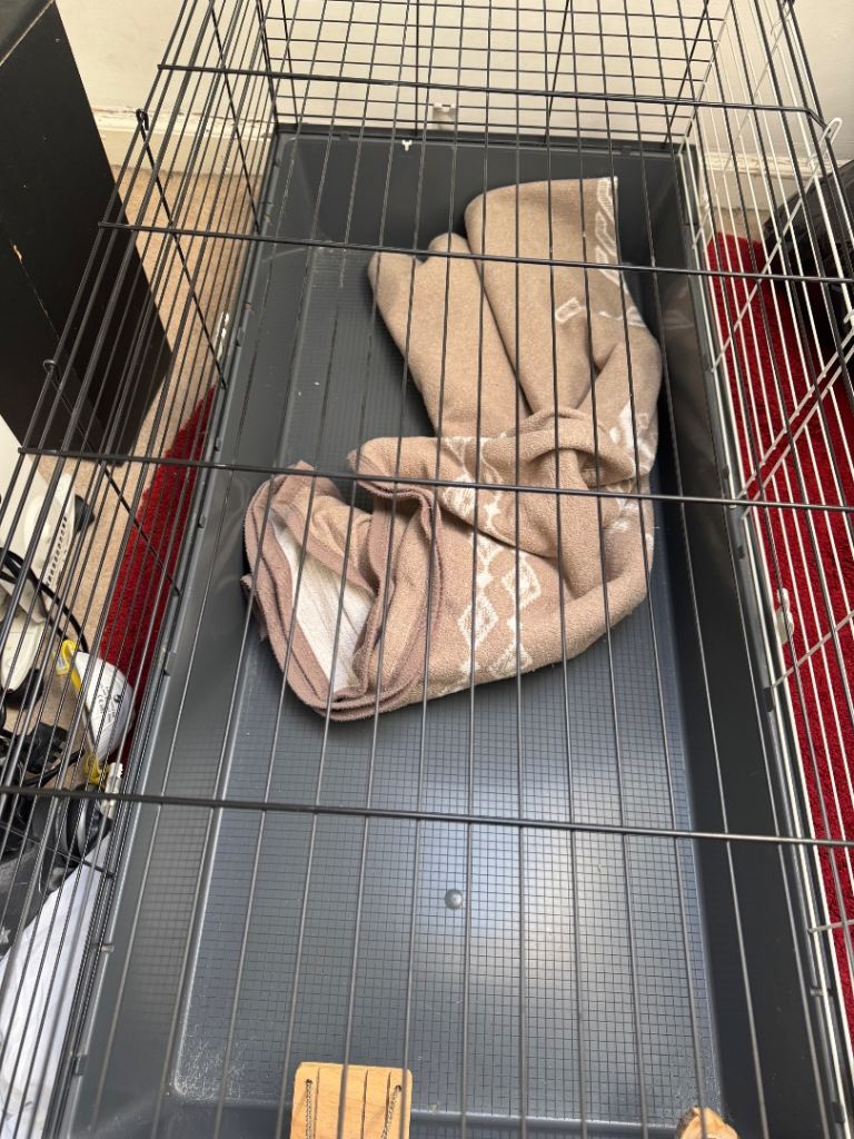 Large pet cage 