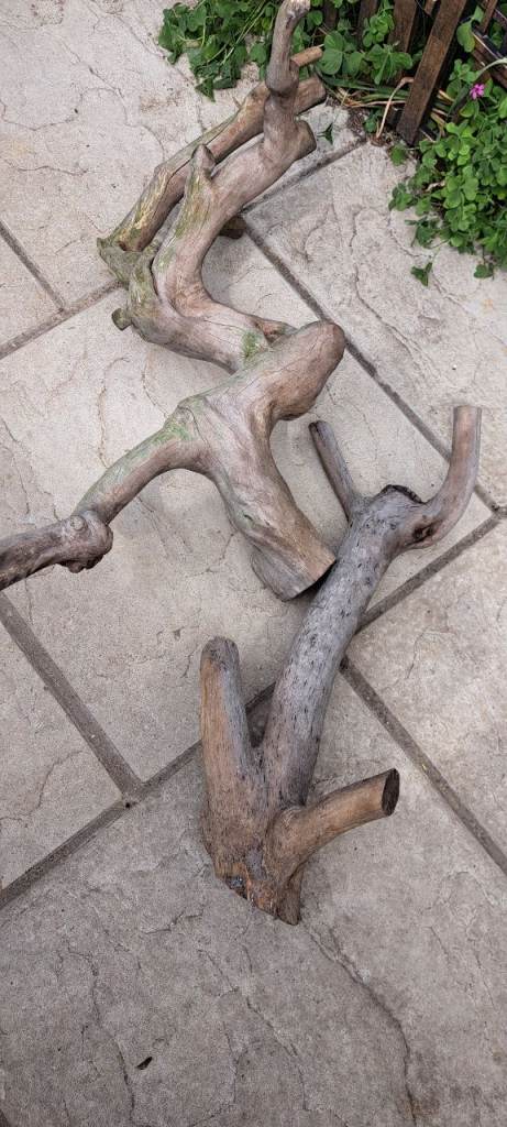 Drift wood nice garden feature 2 pieces 