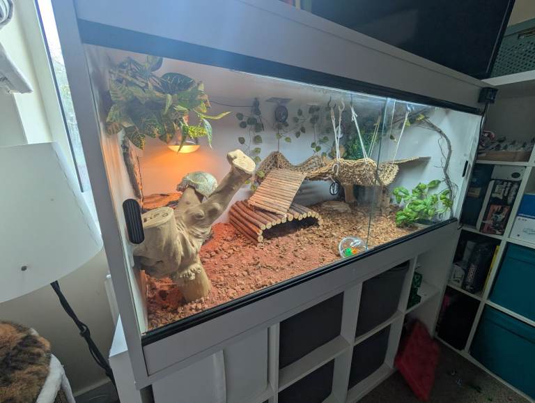 Complete 2x2x4ft reptile enclosure for sale