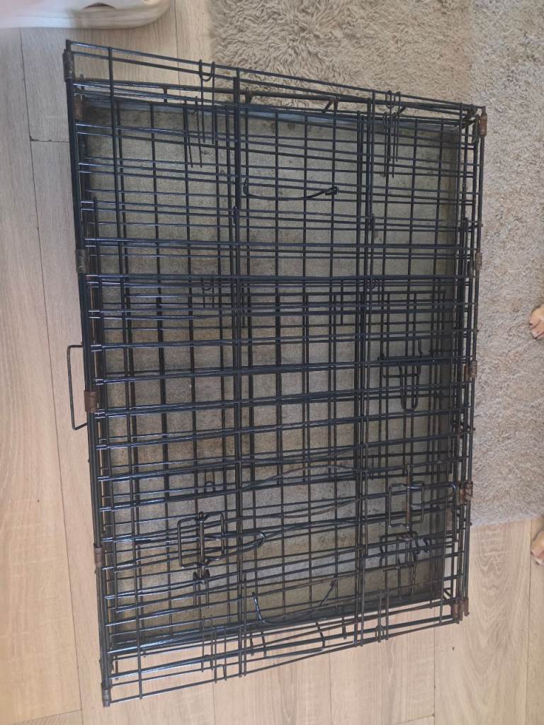 Med dog case 