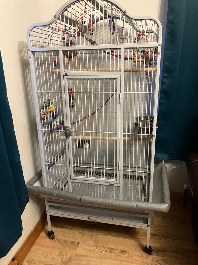 Big bird cage 