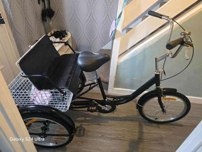 Adult tricycle 