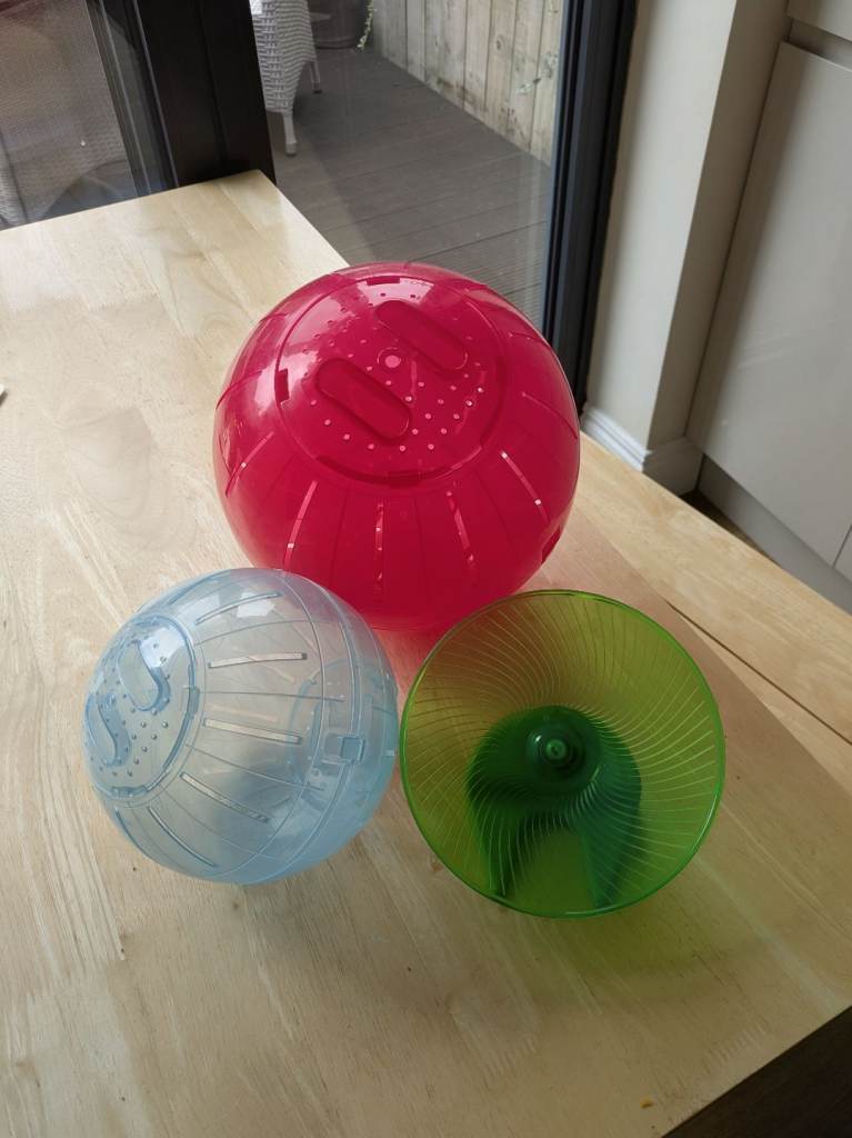 Hamster accessories
