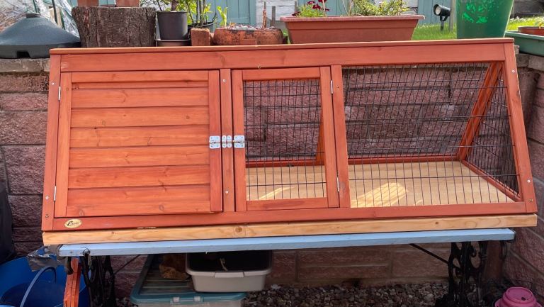 Small pet hatch