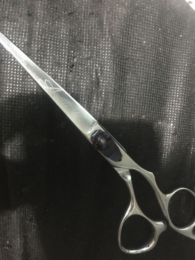 Buttercut avanti professional hairdressing scissors