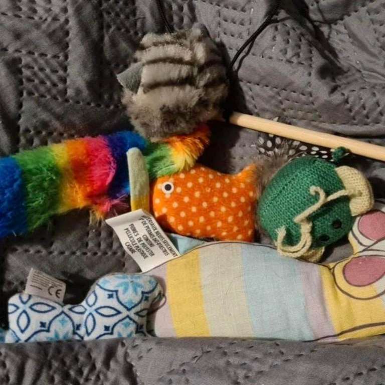Cat toy bundle