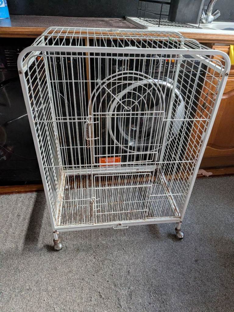 Bird cage 