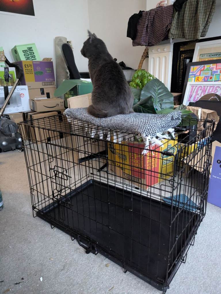 Puppy pen / cat cage 