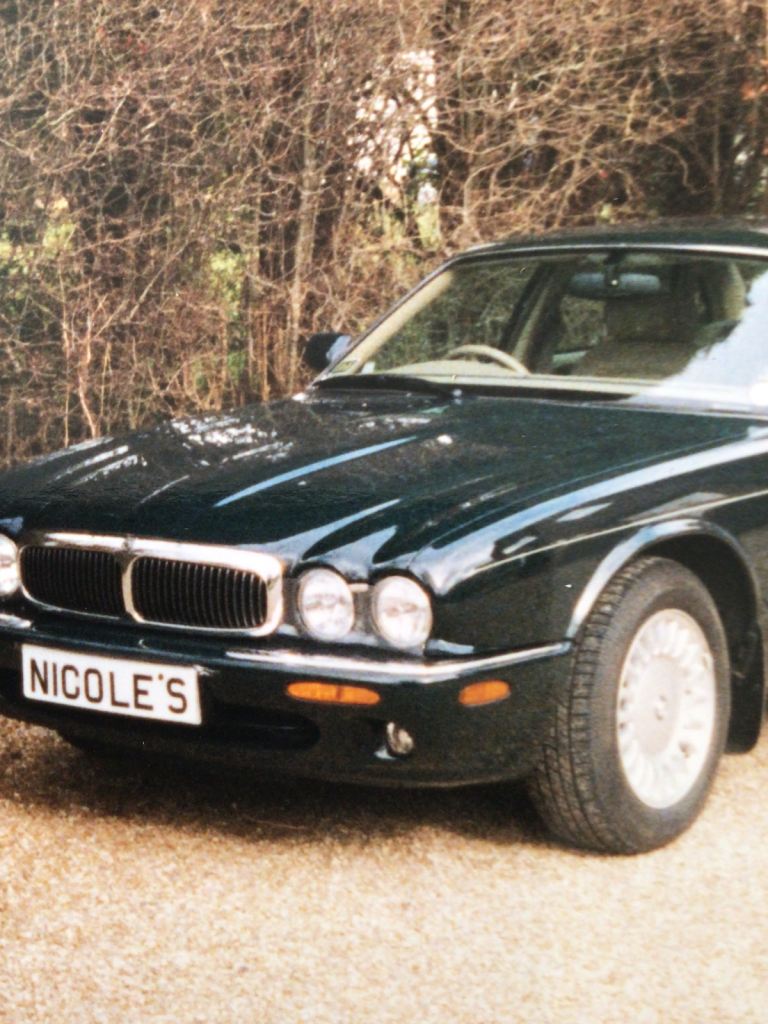 N100LES   Nicole’s Perfect Number