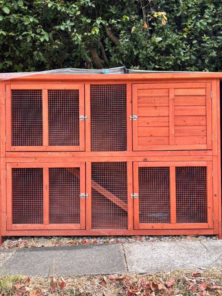Free Guinea Pig Hutch 