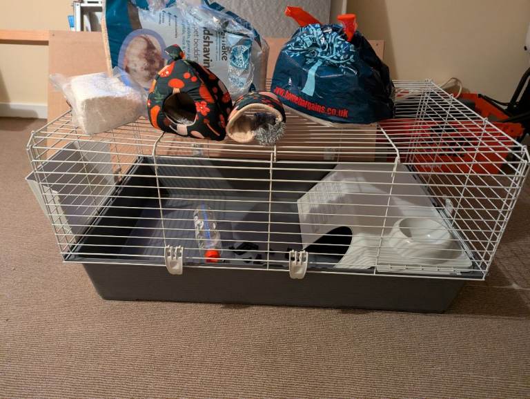 Guine pig home with accessories, wood shaving