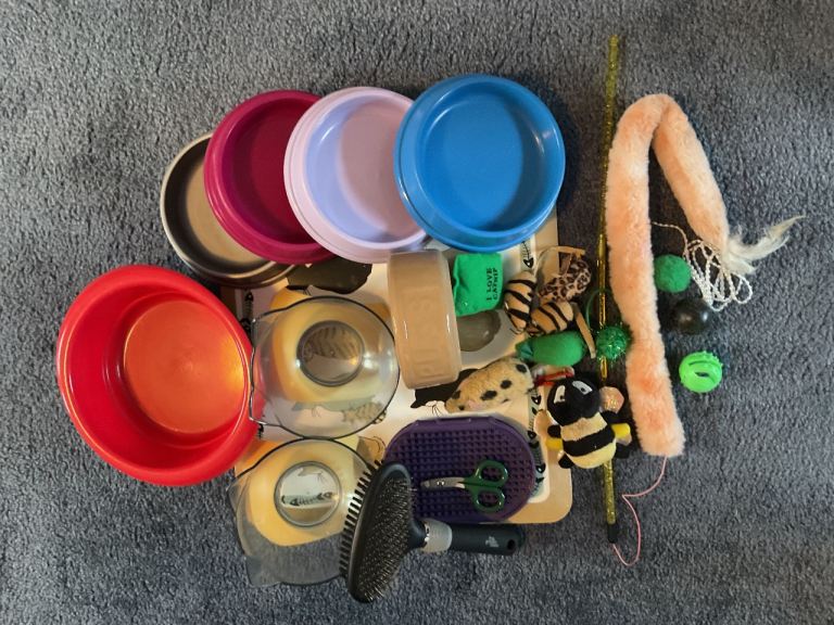 Various cat accessories