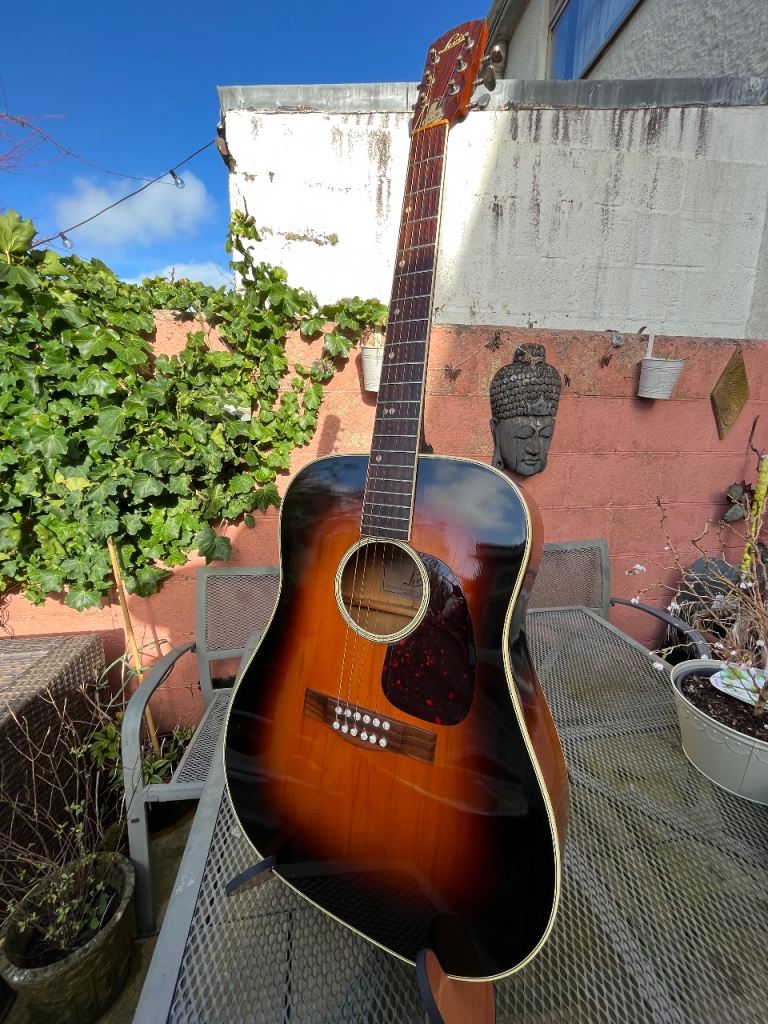 1967/8 Levin LN26 Goliath Acoustic Guitar with case