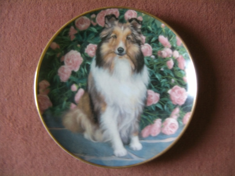 Porcelain Plate with Shetland Sheepdog - Front View