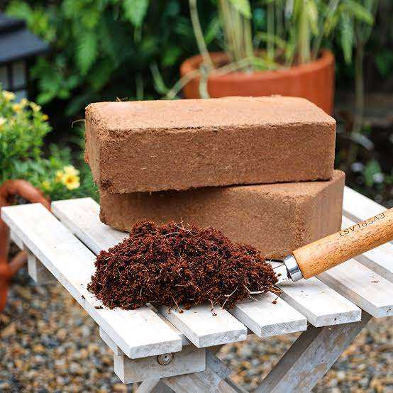 Coco Peat Brick – Ideal for Mushroom Cultivation & Gardening