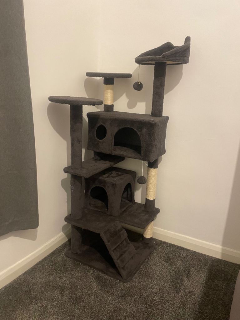 FREE cat tree 
