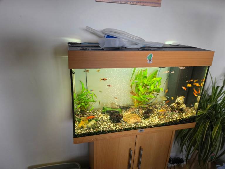 125 juwel fish tank with cabnet 