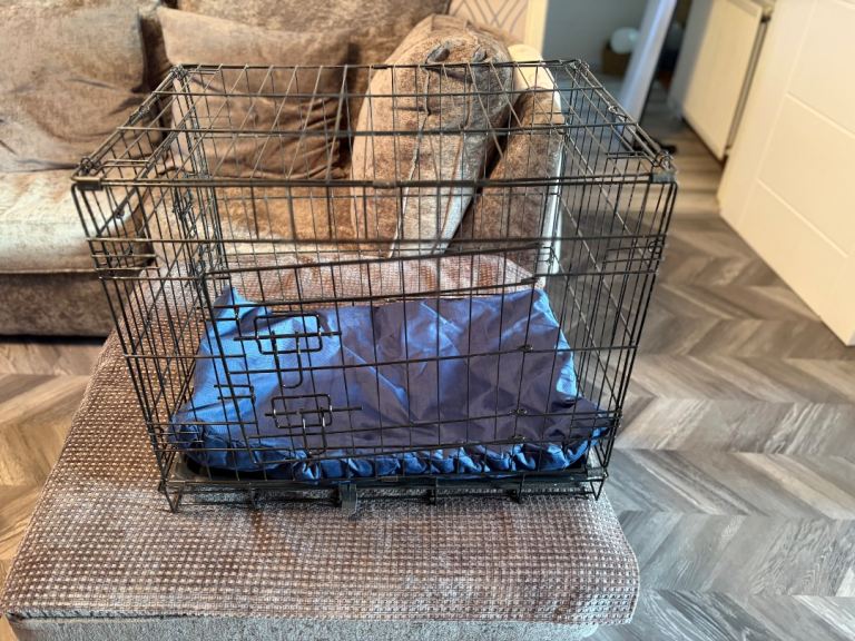 Small dog cage 