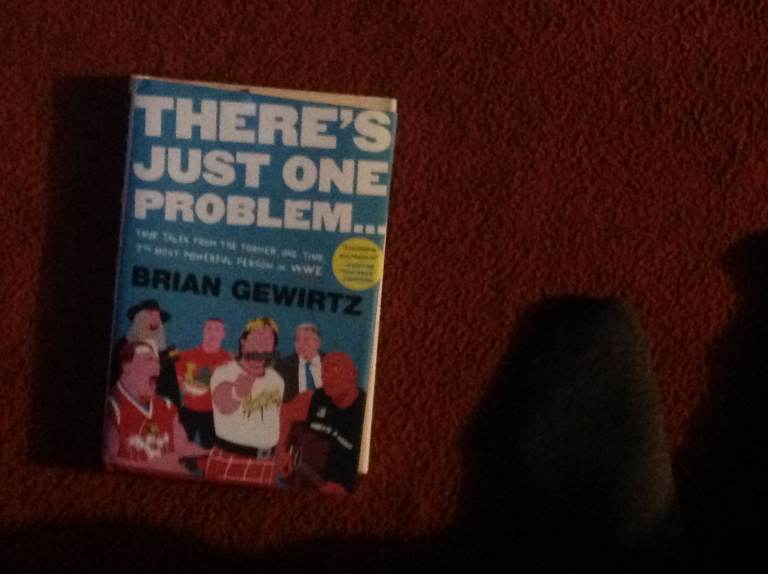 There's Just One Problem... : True Tales. Autobiography of Brian Gerwitz WWE Writer (Open To Offers)