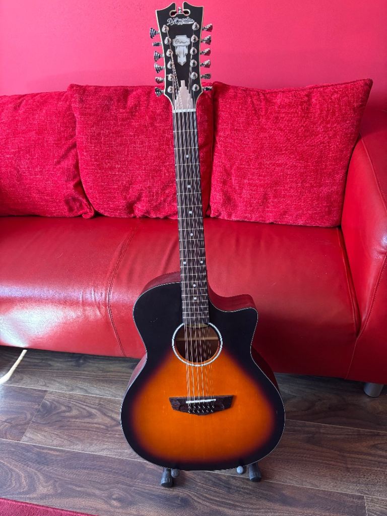 D'Angelico 12 string guitar