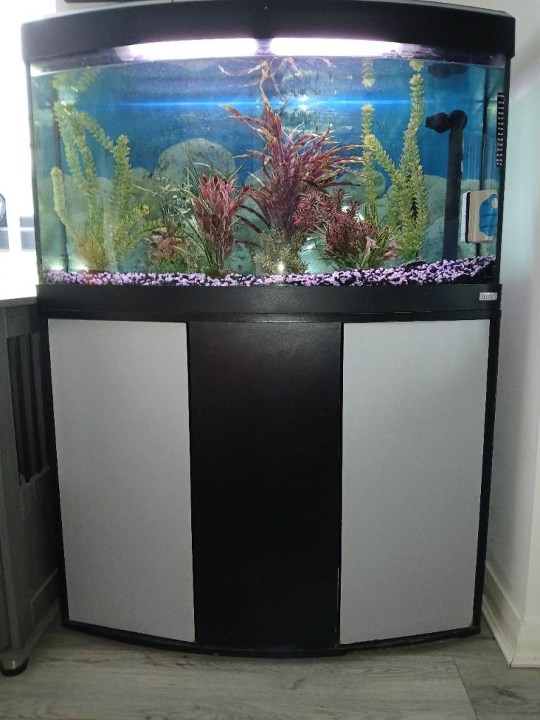 Fluval 3ft bow fronted aquarium 