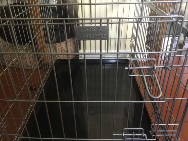 Lords and Labrador dog crate