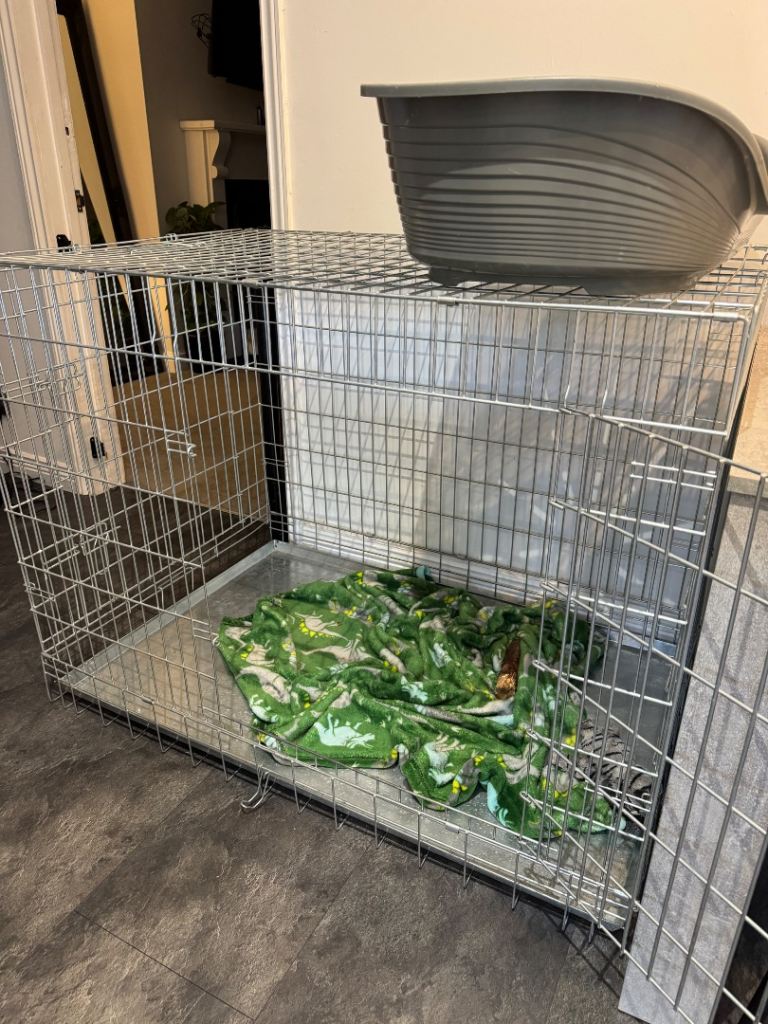 Dog Cage