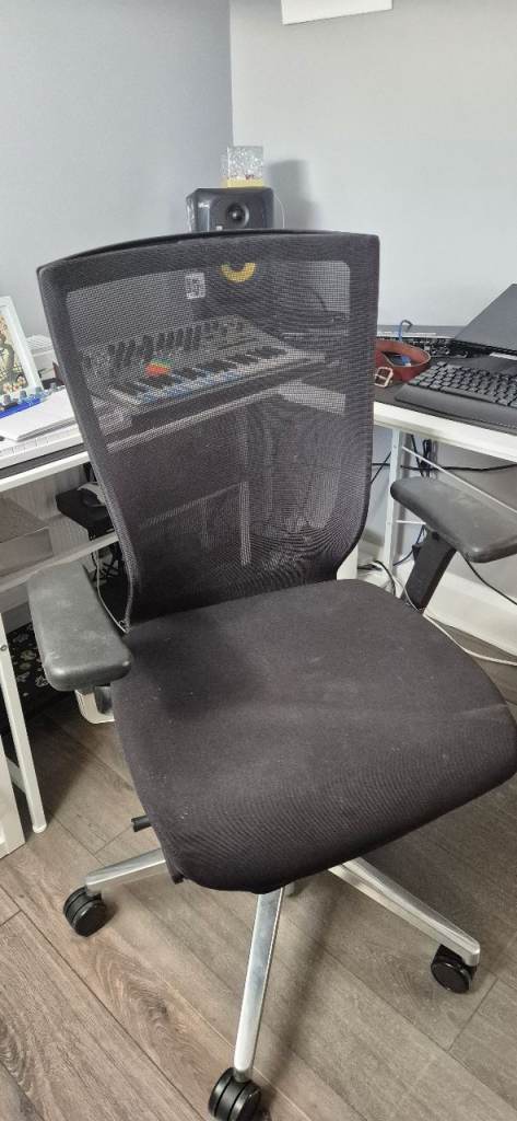 Professional Office Chair