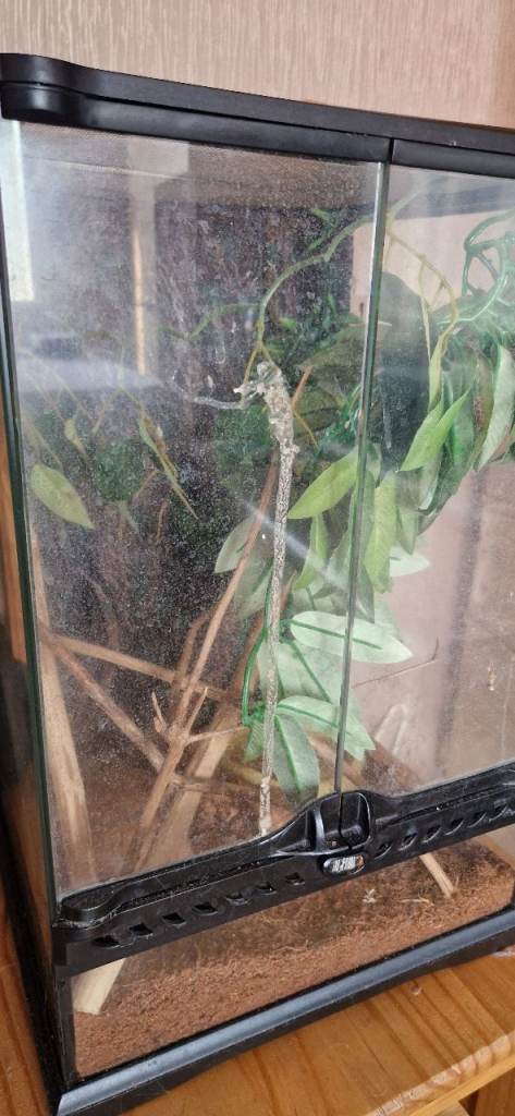 Reptile terrarium