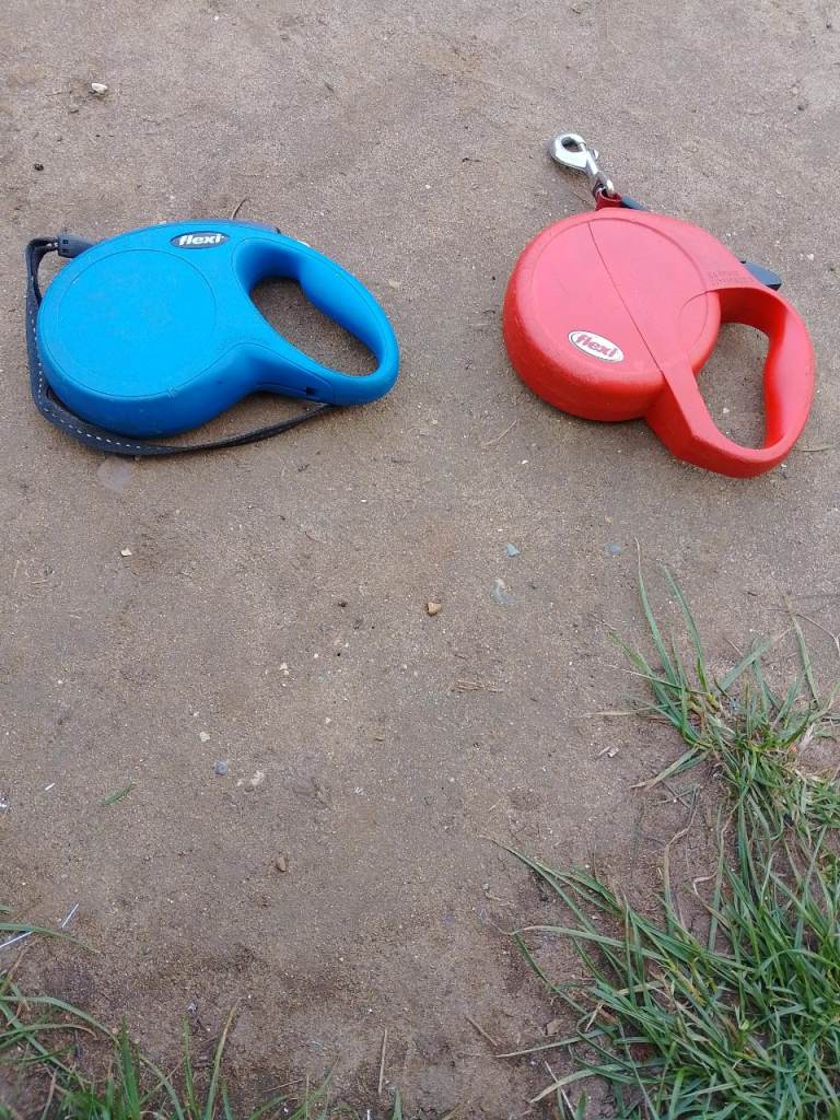 Flexi Retractable Dog Leads - Blue and Red